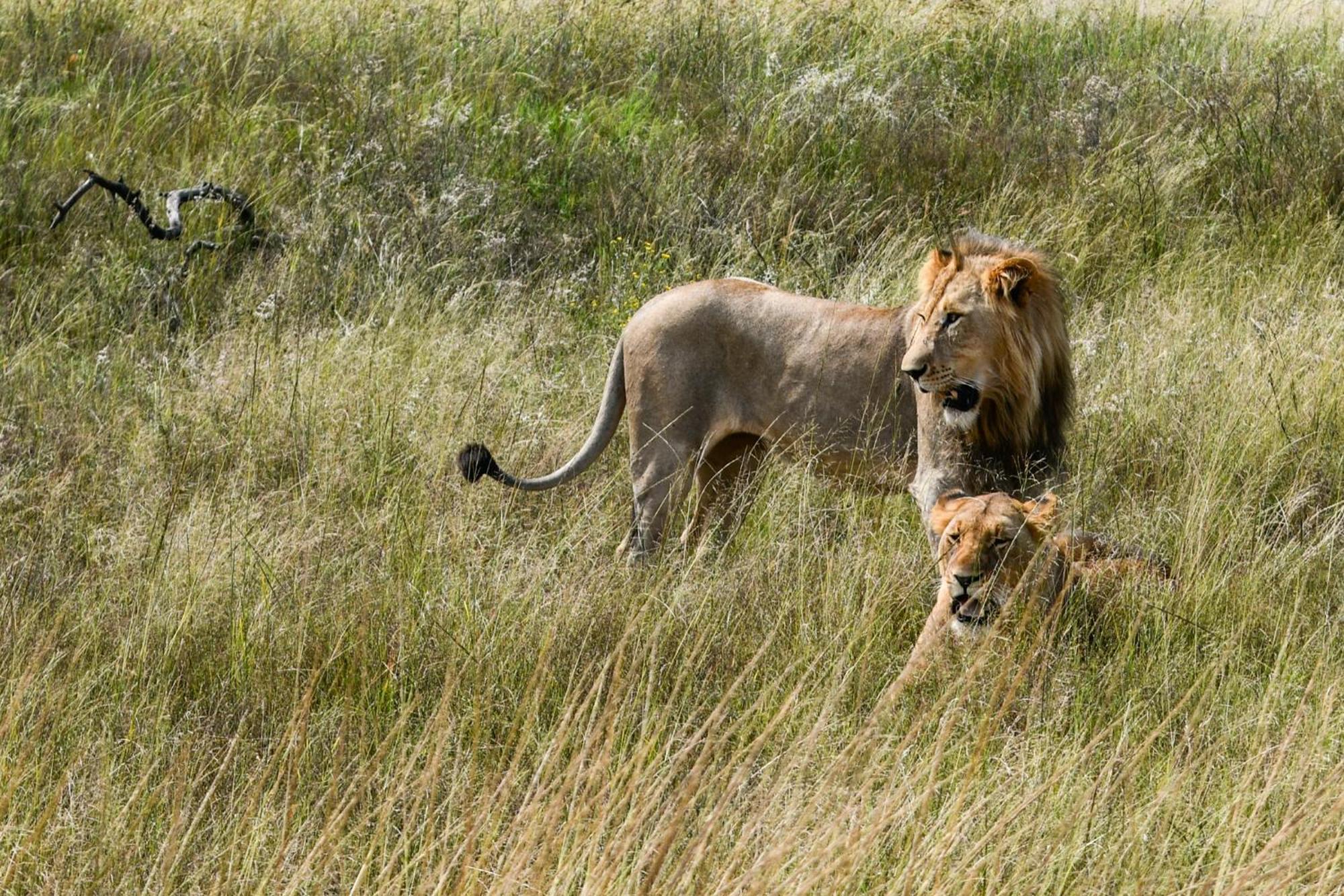 The Springbok Lodge เลดี้สมิธ ภายนอก รูปภาพ