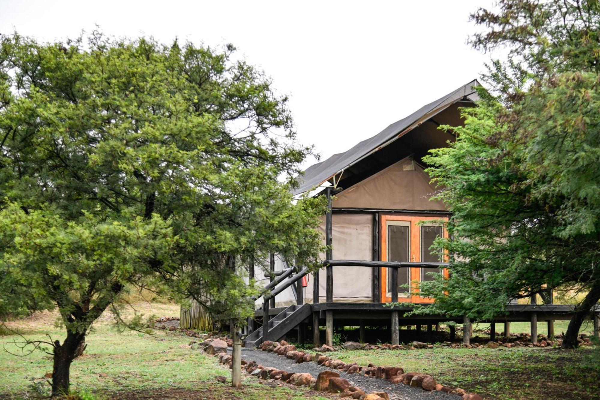 The Springbok Lodge เลดี้สมิธ ภายนอก รูปภาพ